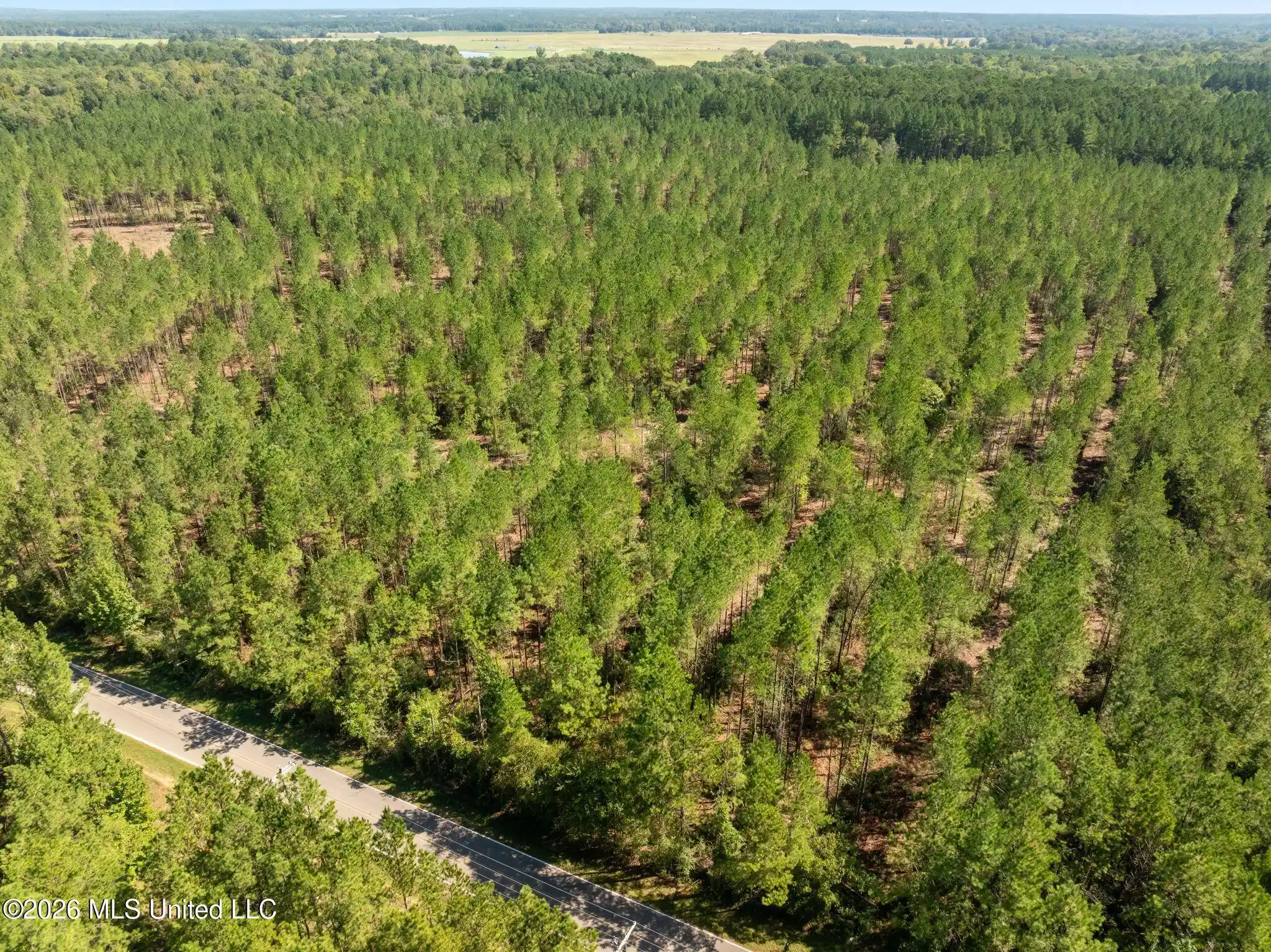 Land for sale at 19 Acres Lott Town Rd, Hattiesburg, MS 39402 | MLS# 4165969