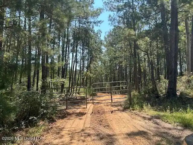 Photo 1 of Land for sale at 0 Charlie Rhodus Rd, Magnolia, MS 39652 | MLS# 4165724 | Listing updated on 2026-10-16