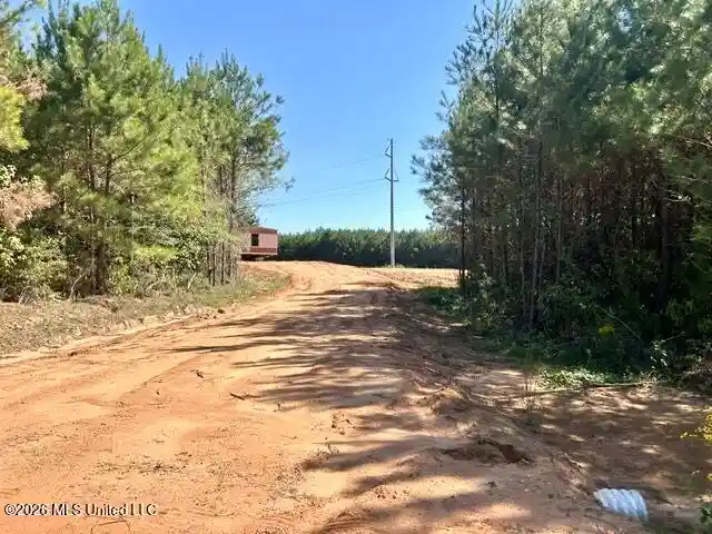 Photo 1 of Land for sale at Xxx County Farm Rd A D, Liberty, MS 39645 | MLS# 4166196 | Listing updated on 2026-10-21