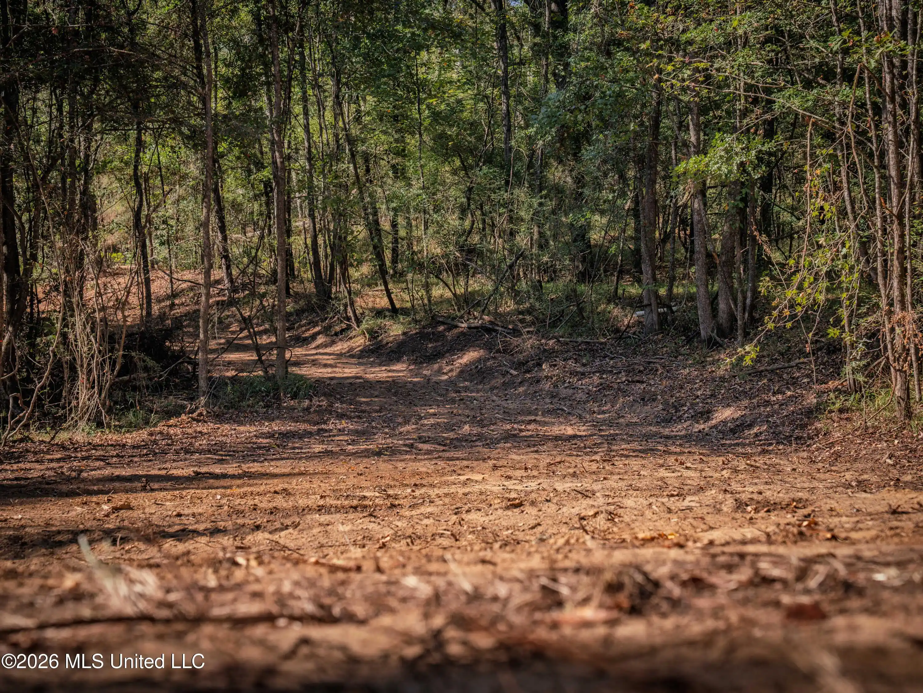 Photo 1 of Land for sale at Billy Flds Rd, Edwards, MS 39066 | MLS# 4165584 | Listing updated on 2026-10-15
