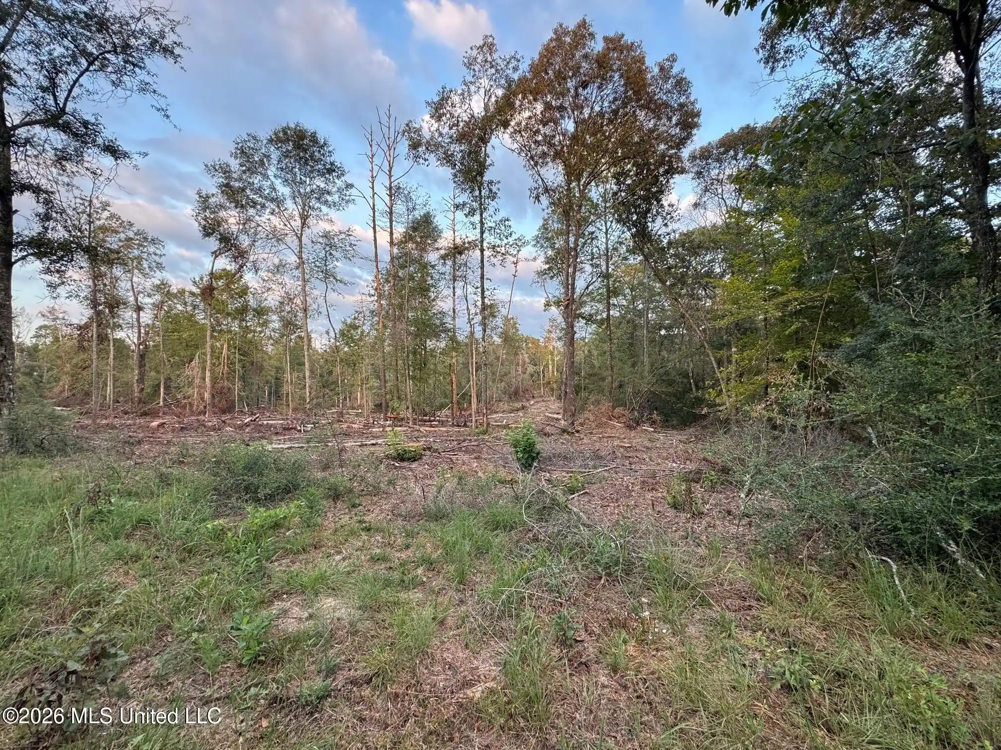 Photo 1 of Land for sale at Magnolia Pisgah Rd, Summit, MS 39666 | MLS# 4165695 | Listing updated on 2026-10-16