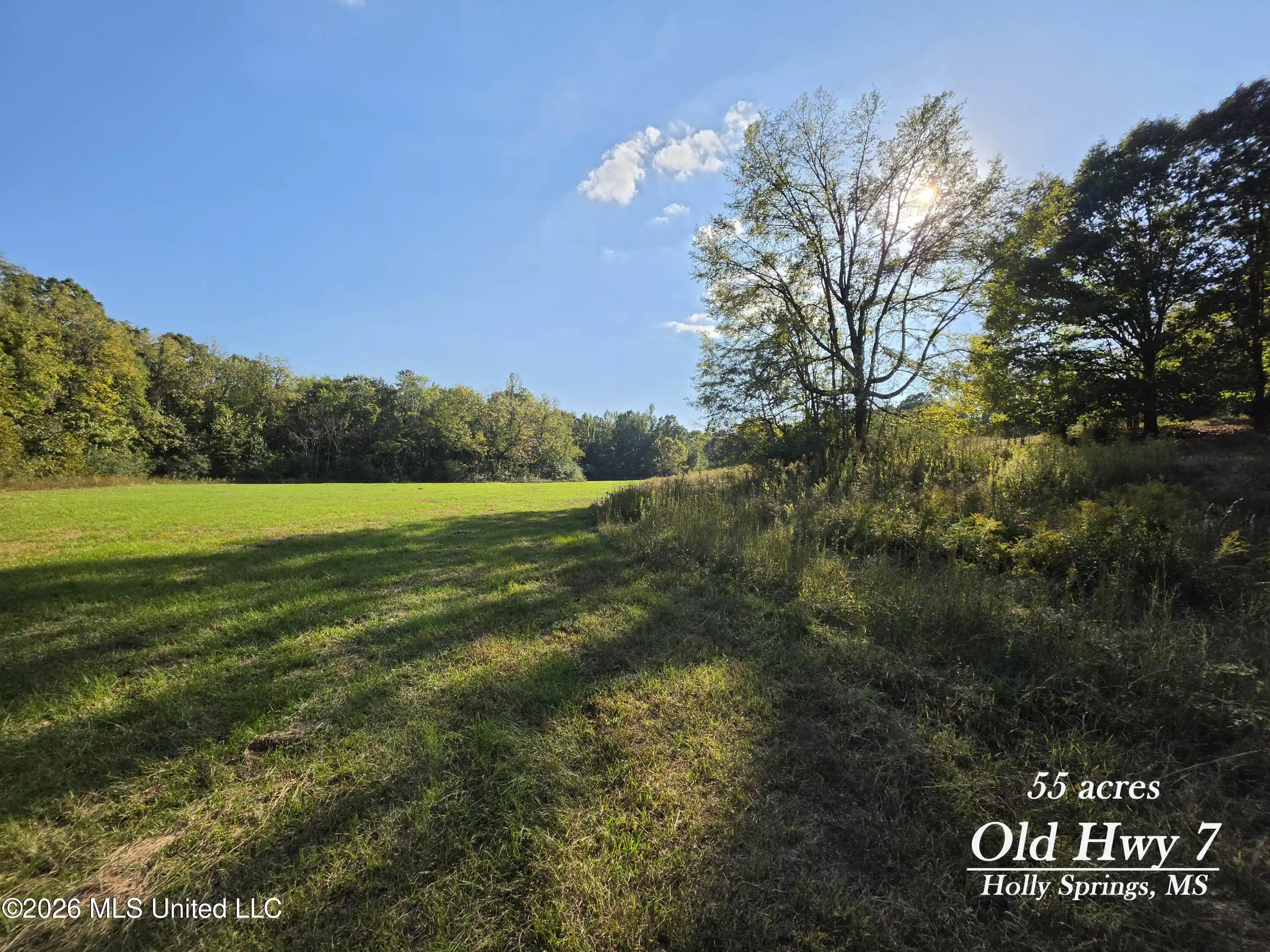 Photo 1 of Land for sale at Old Hwy 7, Holly Springs, MS 38635 | MLS# 4165820 | Listing updated on 2026-10-17