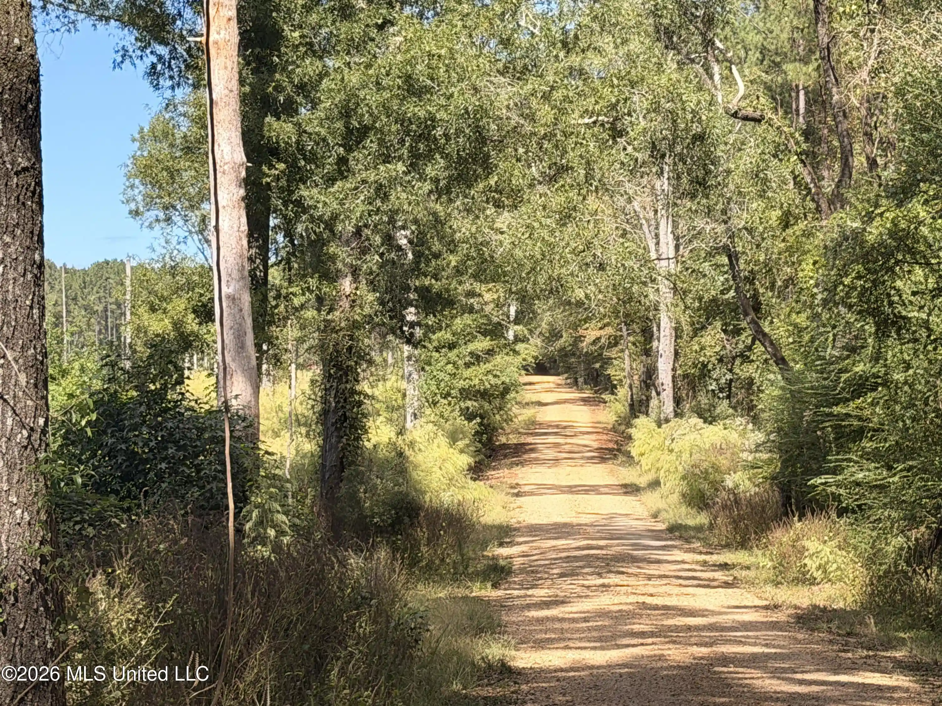 Land for sale at Peterson Ln, Smithdale, MS 39664 | MLS# 4165783