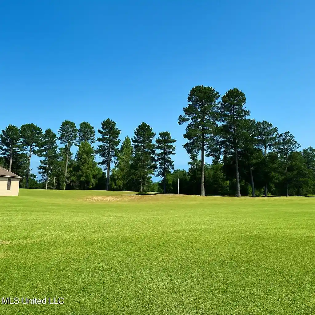 Photo 1 of Land for sale at 113 Vision Cir, Canton, MS 39046 | MLS# 4165846 | Listing updated on 2026-10-17