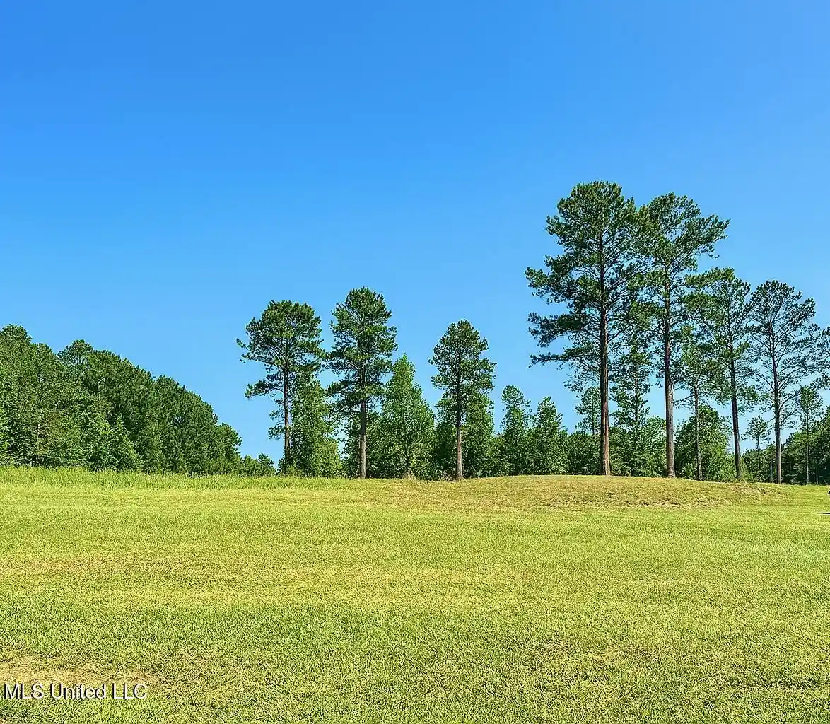 Photo 1 of Land for sale at 121 Vision Cir, Canton, MS 39046 | MLS# 4165847 | Listing updated on 2026-10-17