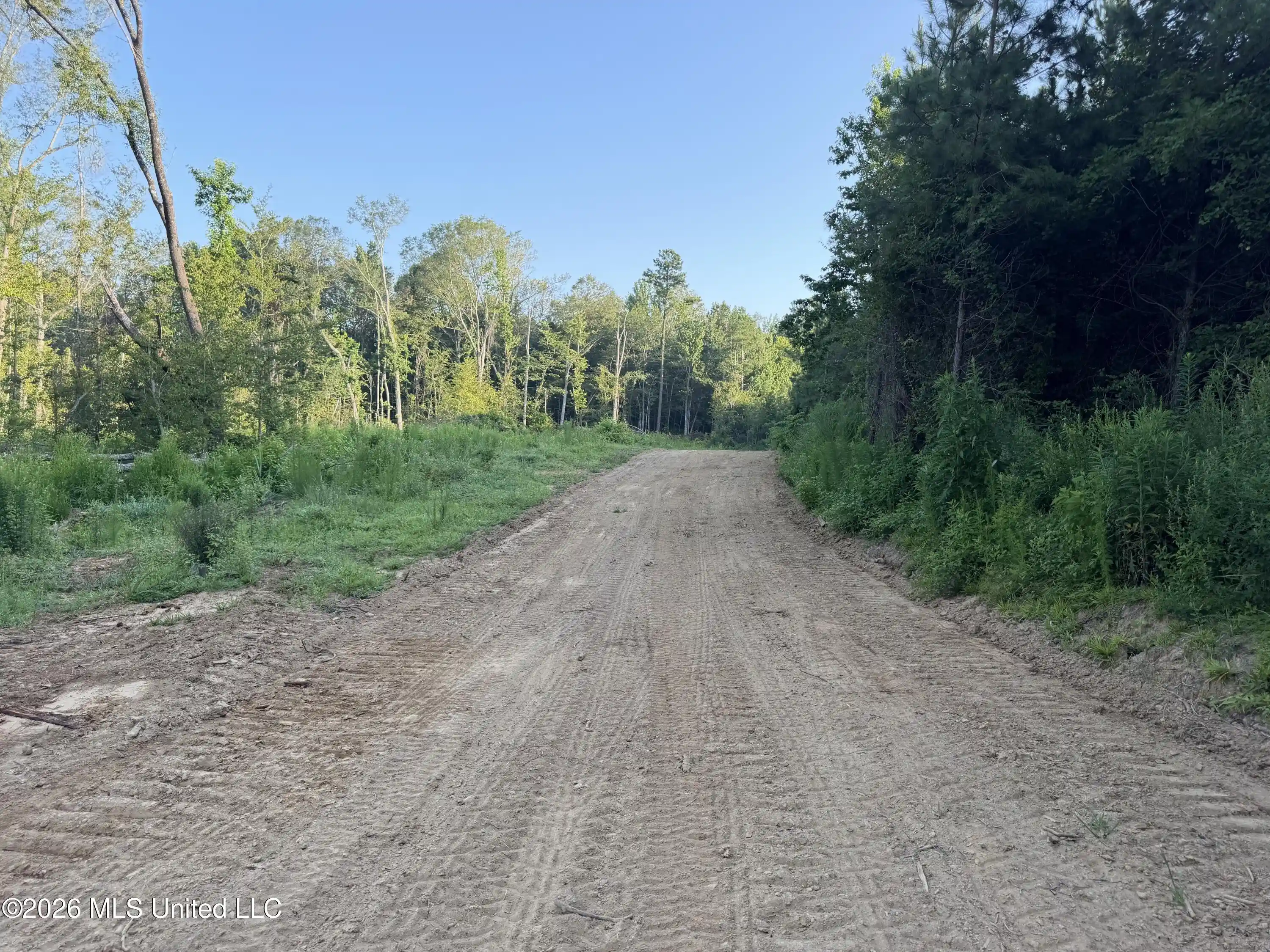 Photo 1 of Land for sale at Nw Carroll Rd, Port Gibson, MS 39150 | MLS# 4166035 | Listing updated on 2026-10-20