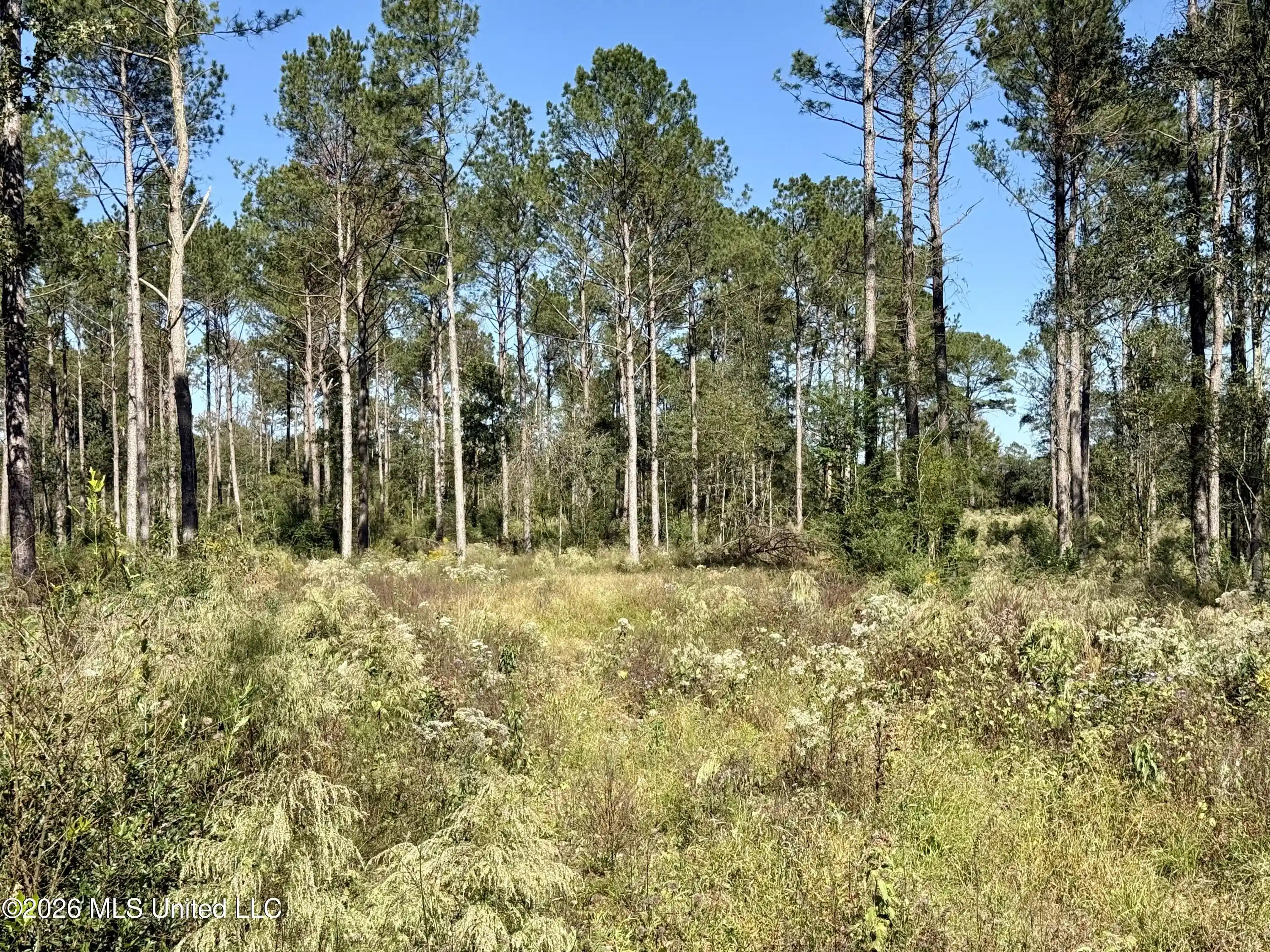 Photo 1 of Land for sale at Rutland Rd, Jayess, MS 39641 | MLS# 4166091 | Listing updated on 2026-10-21
