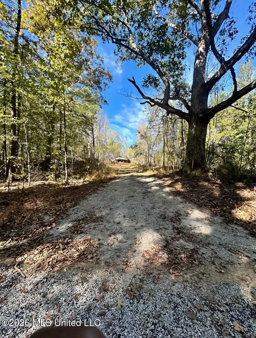 Land for sale at 1010 Hubbard Rd, Holly Springs, MS 38635 | MLS# 4166142
