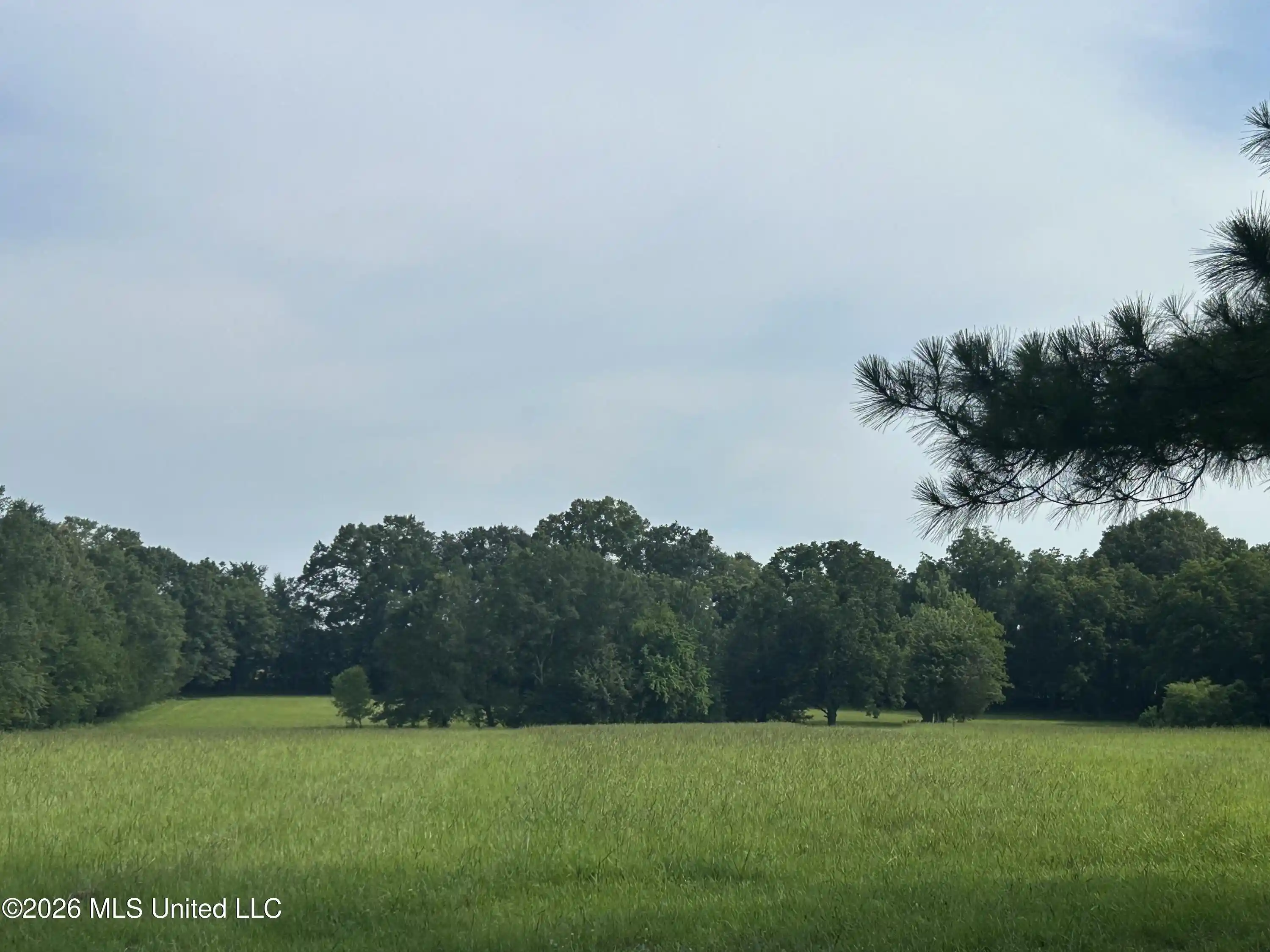 Land for sale at 1 Green Acres Dr, Canton, MS 39046 | MLS# 4166339