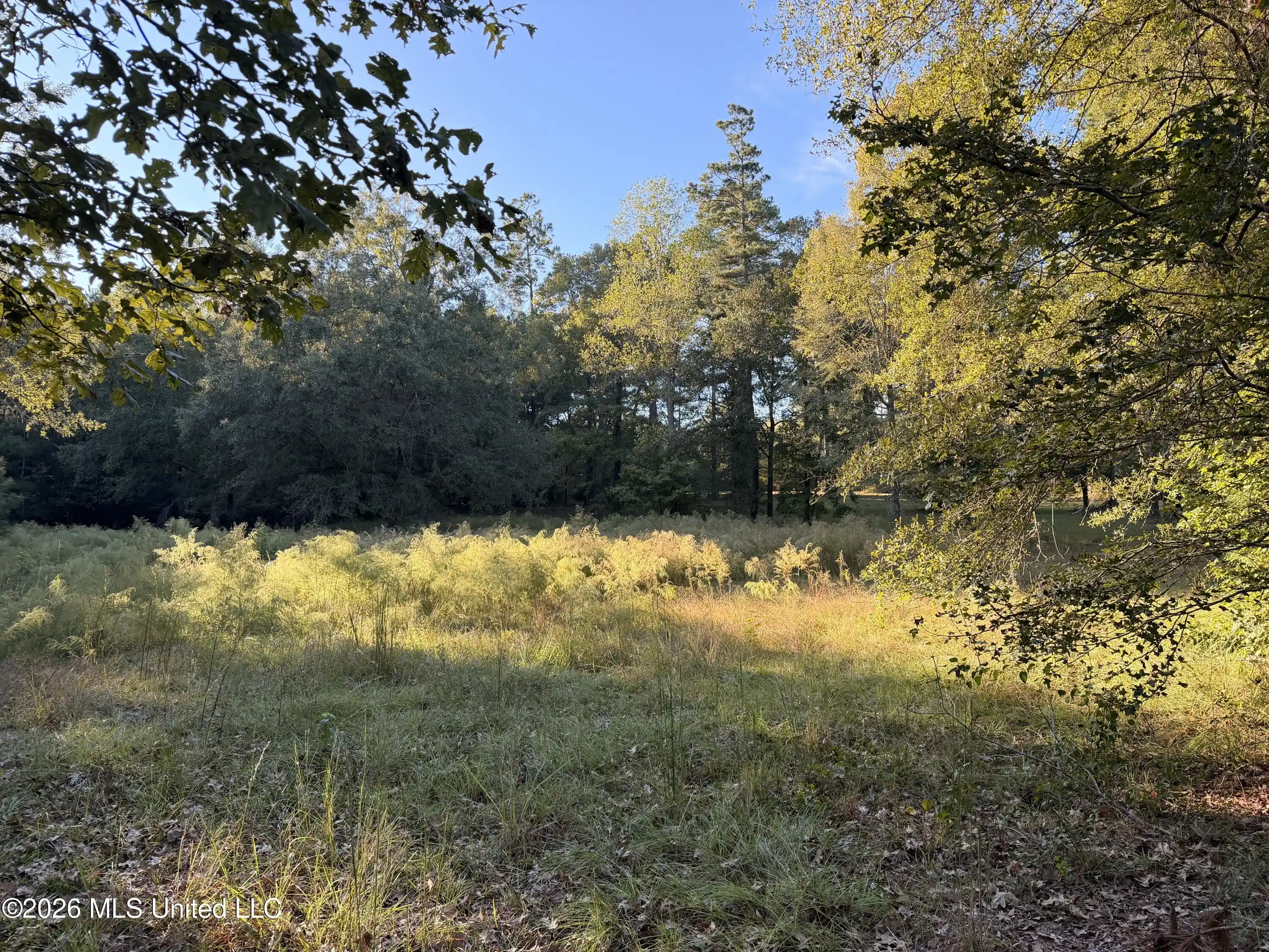 Photo 1 of Land for sale at 000 Ole Springs Rd, Summit, MS 39666 | MLS# 4166271 | Listing updated on 2026-10-22