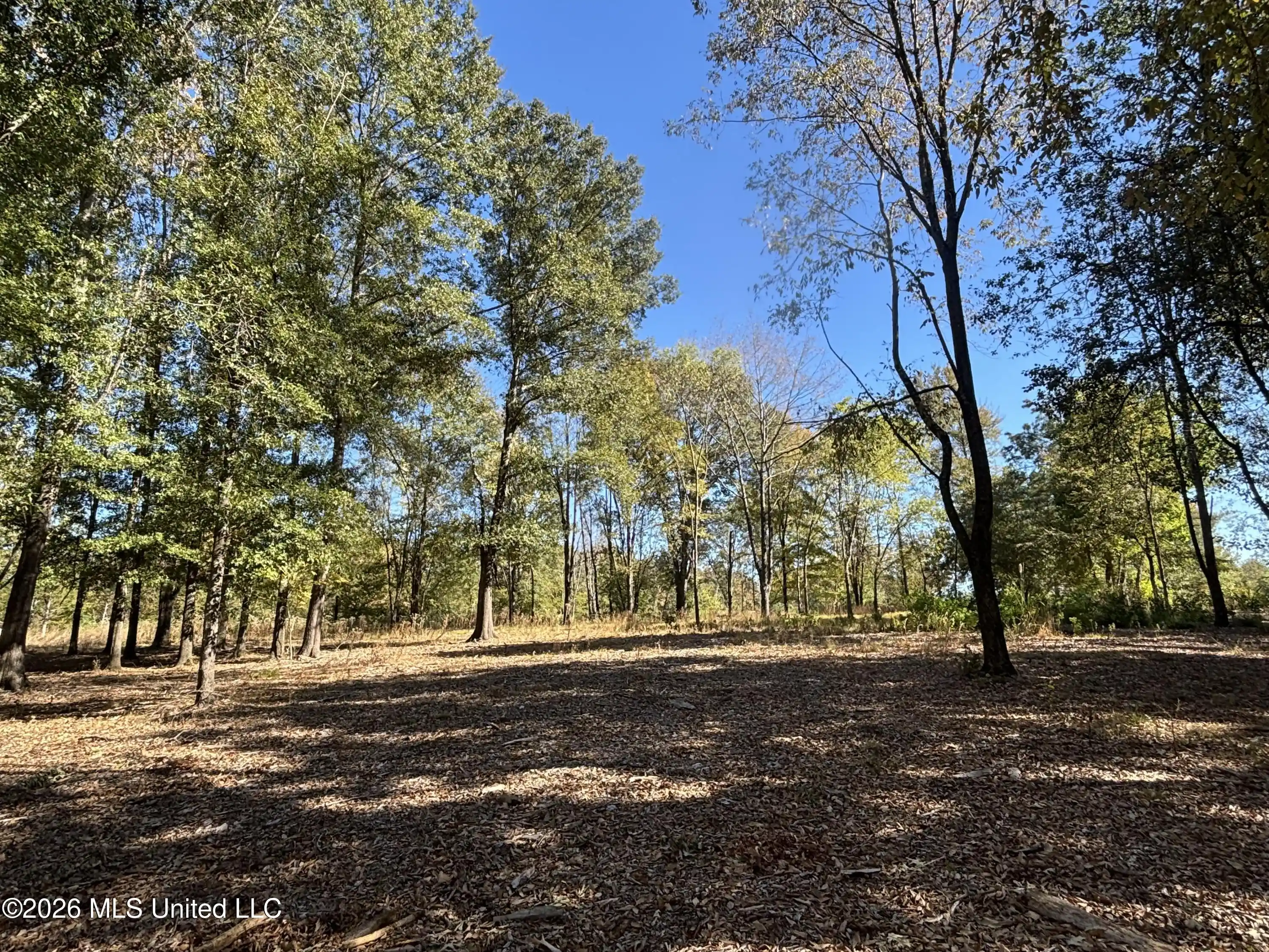 Photo 1 of Sale Pending at Rolling Meadows, Ridgeland, MS 39157 | MLS# 4166302 | Listing updated on 2026-10-25