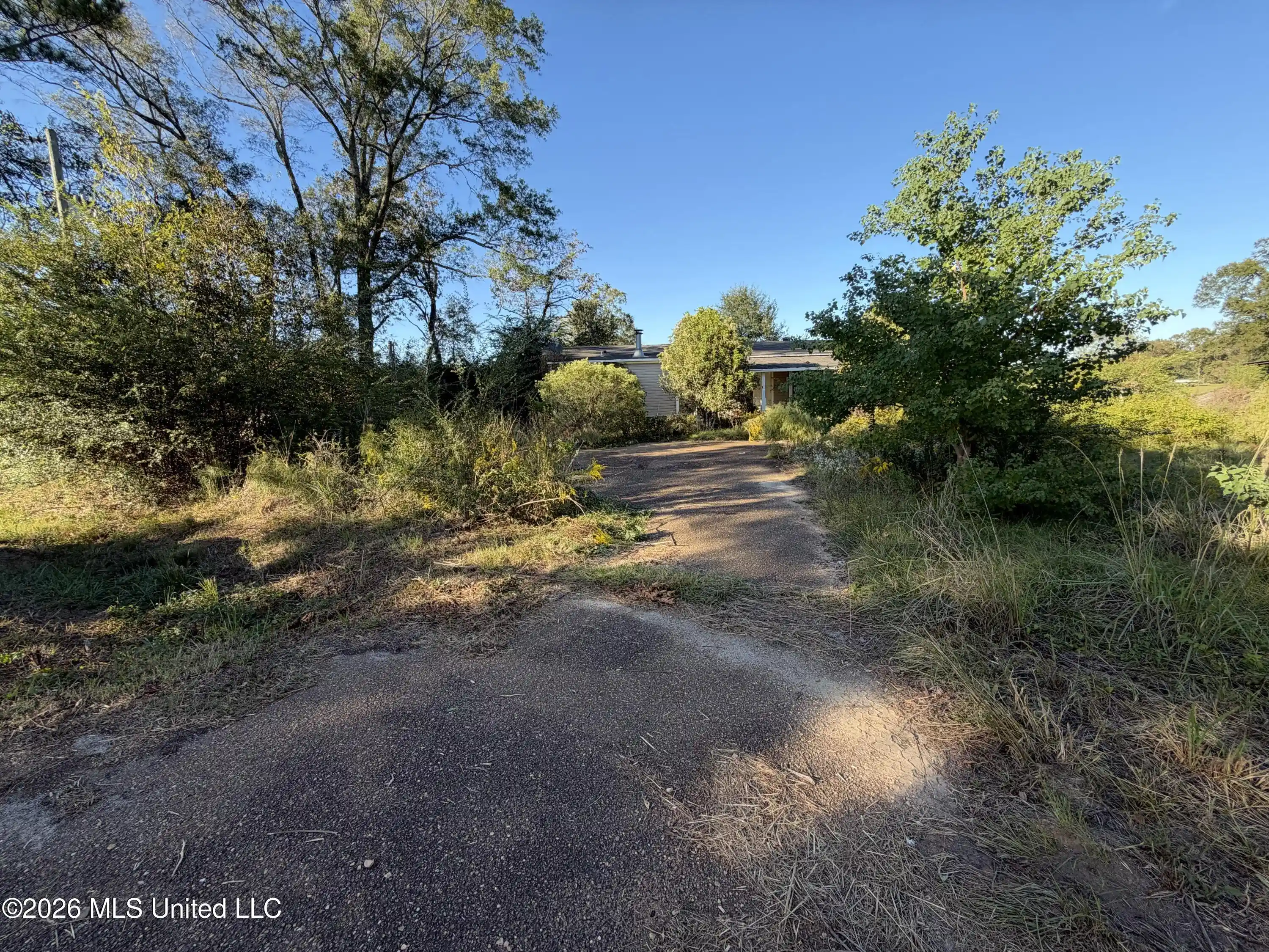 Photo 1 of Land for sale at 373 Bismark Rd, Jayess, MS 39641 | MLS# 4166322 | Listing updated on 2026-10-23