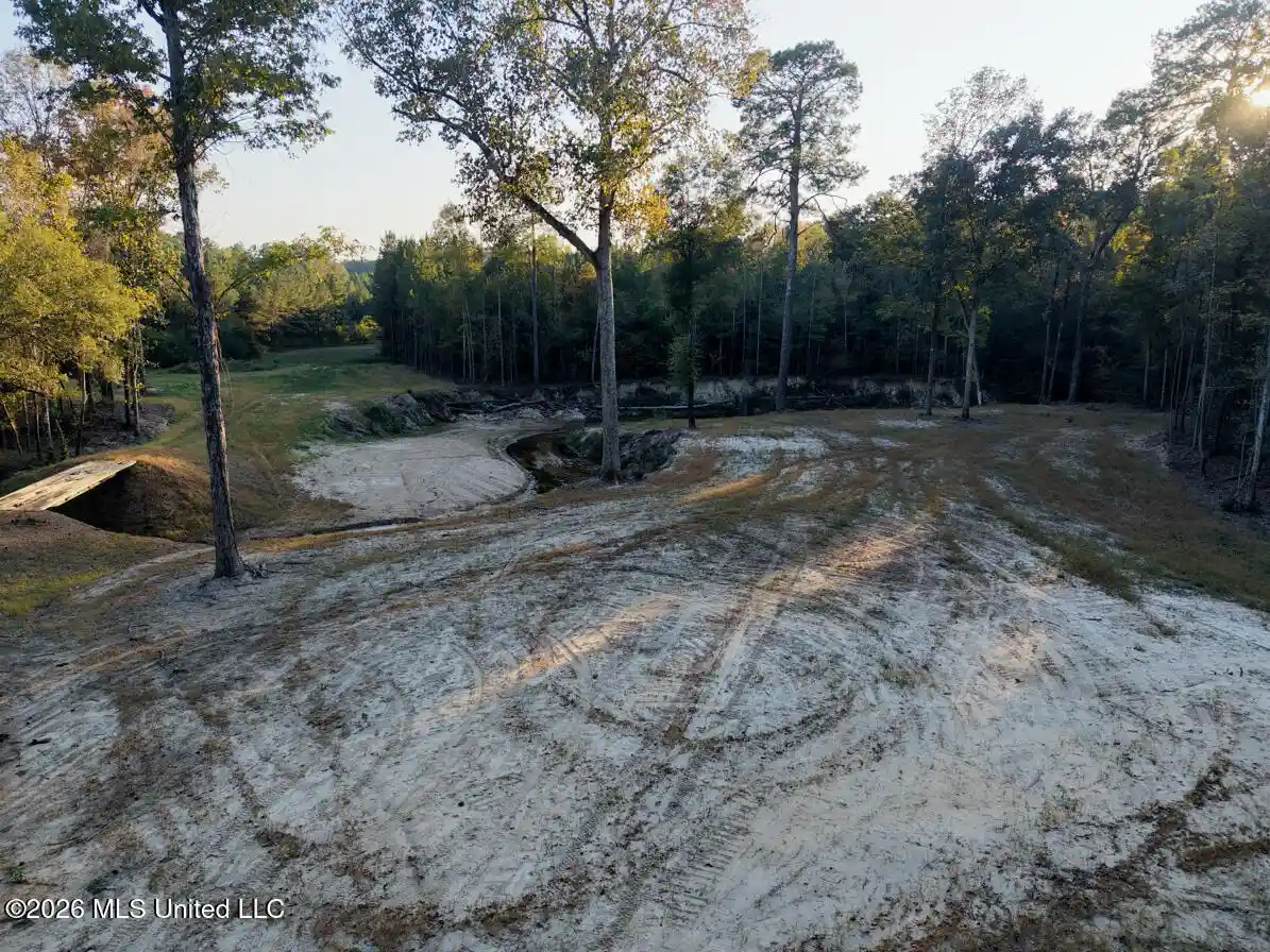 Photo 1 of Land for sale at Mississippi 33, Gloster, MS 39638 | MLS# 4166953 | Listing updated on 2026-10-30