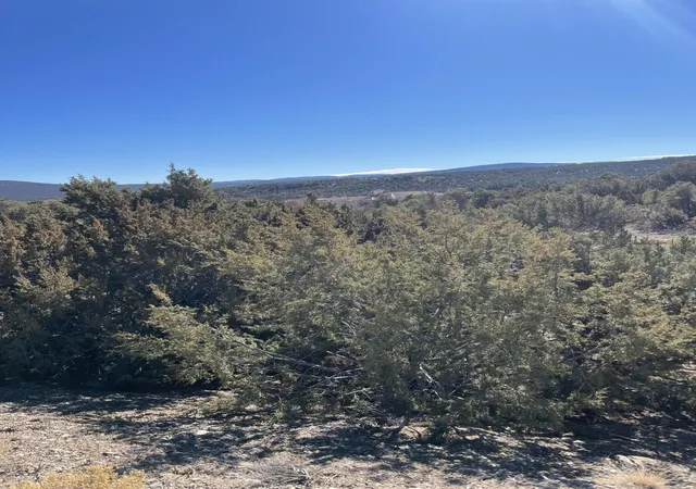 Homes for sale in Sandia Park, NM | 71 Raindance Rd, Sandia Park, NM 87047 | MLS# 1006907