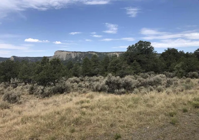 1st image of S Leaning Lot B, Los Ojos, NM 87551 | MLS# 1022027
