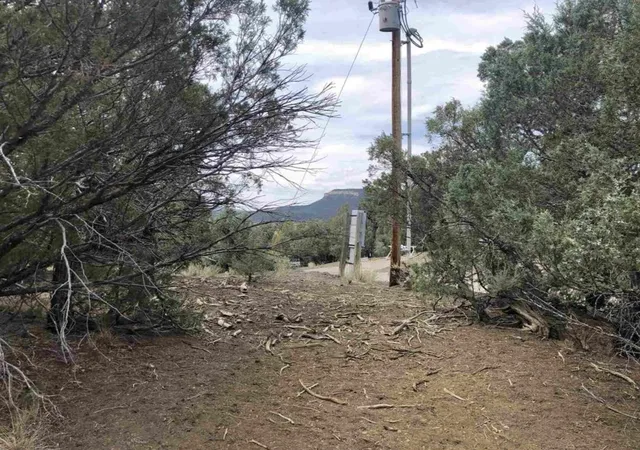 2nd image of S Leaning Lot B, Los Ojos, NM 87551 | MLS# 1022027