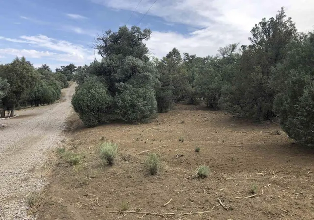 3rd image of S Leaning Lot B, Los Ojos, NM 87551 | MLS# 1022027