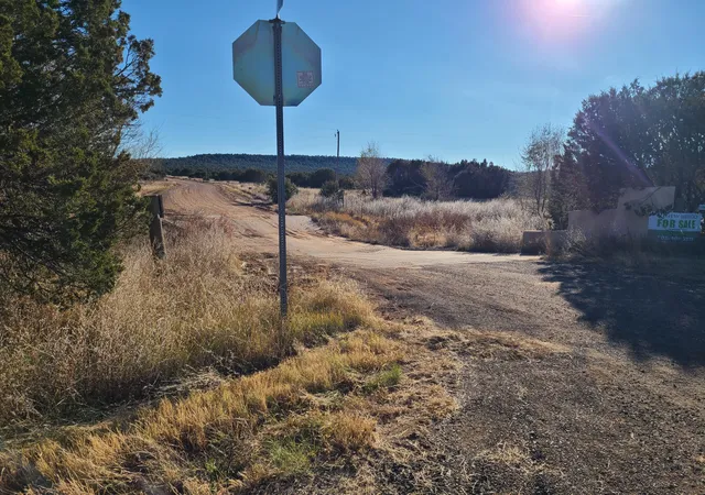 Photo 2 of Land for sale at 0 Rosewood Dr #11, Estancia, NM 87016 | MLS# 1026065 | Listing updated on 2026-07-21