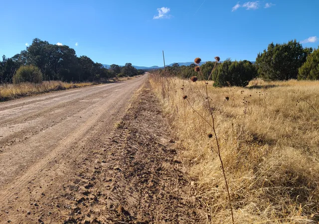 Photo 4 of Land for sale at 0 County Rd A012 #14, Tajique, NM 87016 | MLS# 1026069 | Listing updated on 2026-07-21