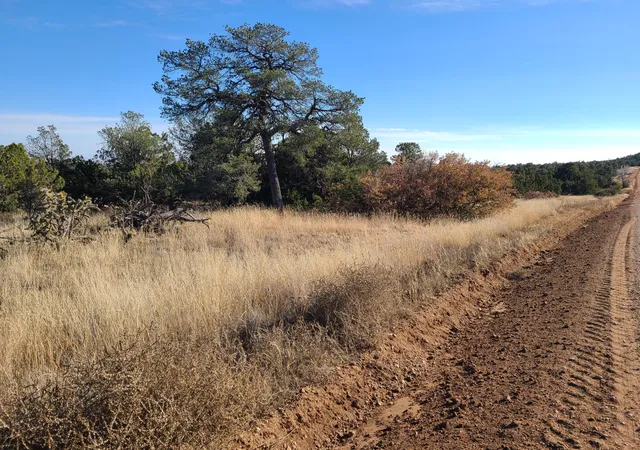 Photo 10 of Land for sale at 0 Rosewood Dr #12, Estancia, NM 87016 | MLS# 1026107 | Listing updated on 2026-07-21