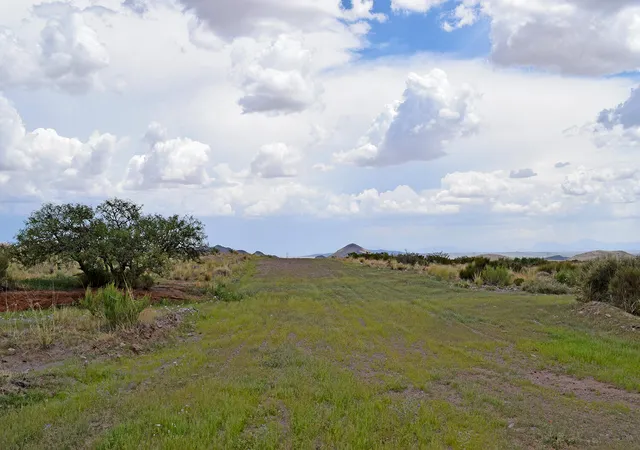 Photo 4 of Land for sale at 205 Muledeer Trl, San Antonio, NM 87832 | MLS# 1031088 | Listing updated on 2026-07-21