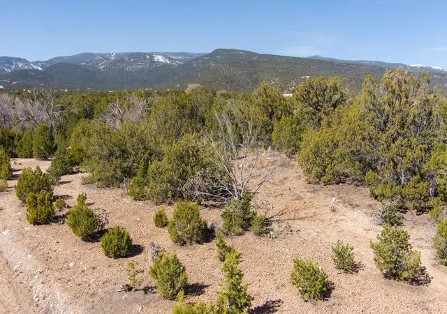 Homes for sale in Sandia Park, NM | Gunsmoke Rd, Sandia Park, NM 87047 | MLS# 1031937