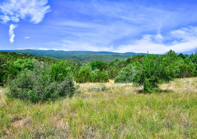 2nd image of 12141 Nm State 14, Cedar Crest, NM 87008 | MLS# 1039653