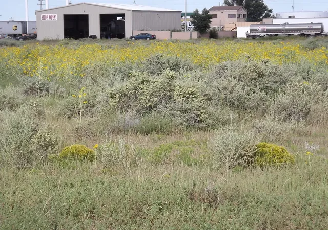 2nd image of Us Rt 66 E (tr 2 A 2 A), Moriarty, NM 87035 | MLS# 1044759
