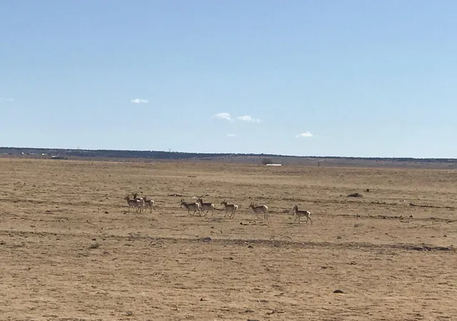 2nd image of 3940 Hwy 41, Stanley, NM 87056 | MLS# 1054875