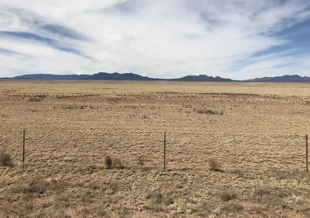 7th image of 3940 Hwy 41, Stanley, NM 87056 | MLS# 1054875