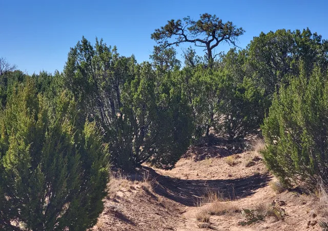 2nd image of 32 Camino Monte Azul, Edgewood, NM 87015 | MLS# 1055026