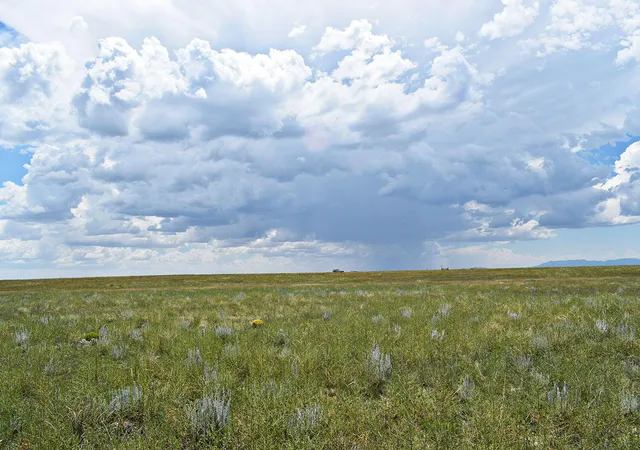 Photo 3 of Land for sale at Lot 5 Estancia Ranchettes #4, Estancia, NM 87016 | MLS# 1055164 | Listing updated on 2026-07-22