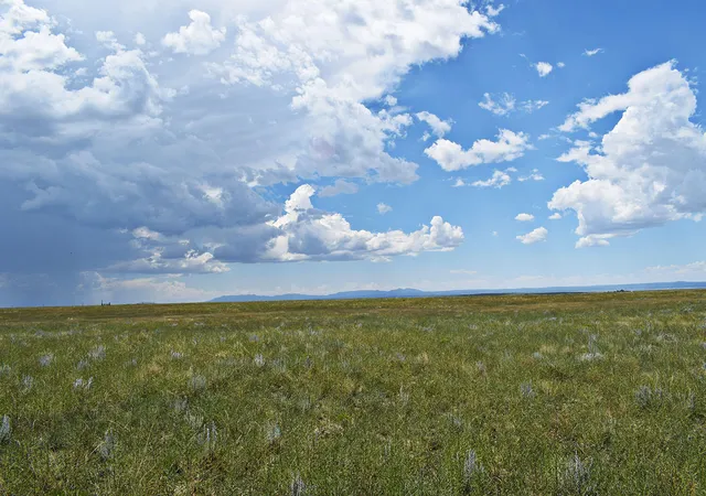 Photo 4 of Land for sale at Lot 5 Estancia Ranchettes #4, Estancia, NM 87016 | MLS# 1055164 | Listing updated on 2026-07-22