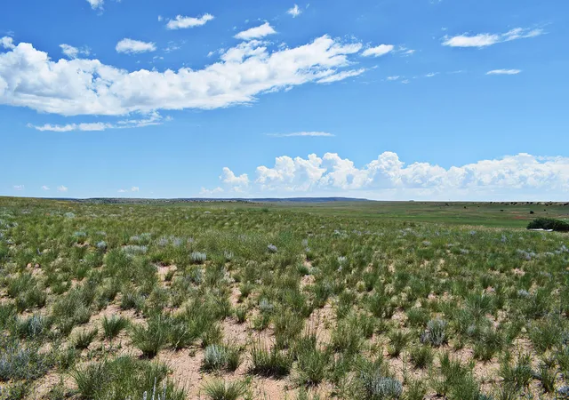 Photo 3 of Land for sale at Lot 36 Estancia Ranchettes #6, Estancia, NM 87016 | MLS# 1055190 | Listing updated on 2026-07-21