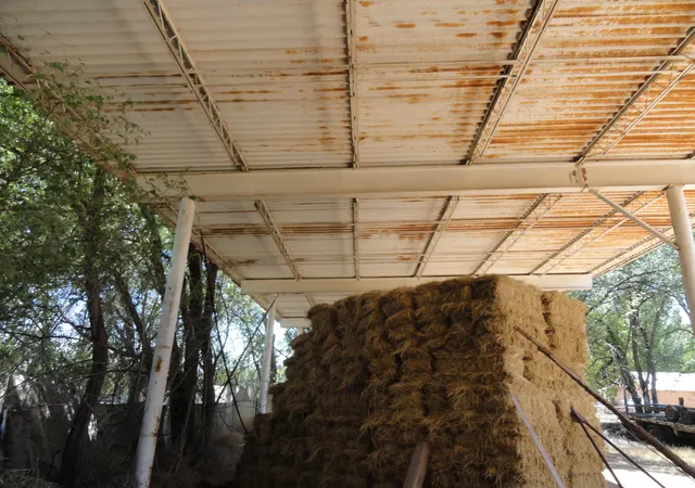 4th image of Molina Tract 6 Rd, Peralta, NM 87042 | MLS# 1055825