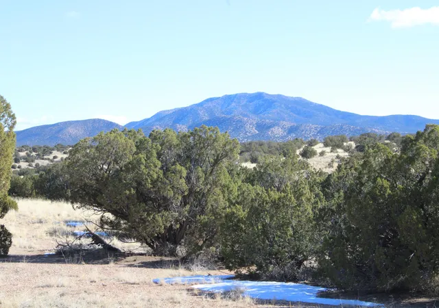 3rd image of 105 Acres Demetrio Rd, Sandia Park, NM 87047 | MLS# 1055905
