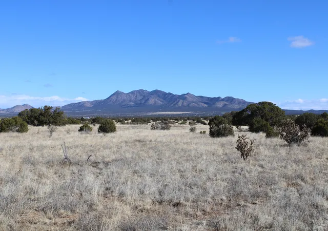 5th image of 105 Acres Demetrio Rd, Sandia Park, NM 87047 | MLS# 1055905