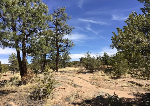 Photo 1 of Sale Pending at Lot 636 Edgewood Dr, Ramah, NM 87321 | MLS# 1056719 | Listing updated on 2026-08-03