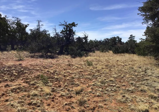 Photo 14 of Sale Pending at Lot 640 A Gabe Rd, Ramah, NM 87321 | MLS# 1056724 | Listing updated on 2026-08-03