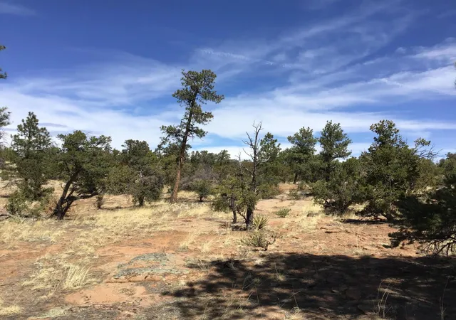 Photo 1 of Sale Pending at Lot 640 A Gabe Rd, Ramah, NM 87321 | MLS# 1056724 | Listing updated on 2026-08-03