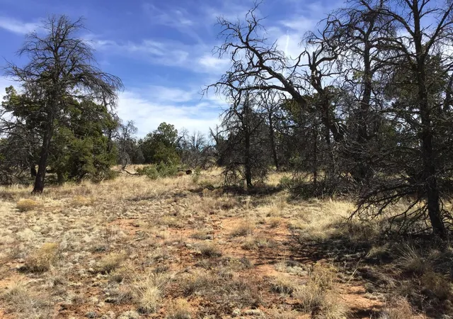 Photo 2 of Sale Pending at Lot 640-A Gabe Rd, Ramah, NM 87321 | MLS# 1056724 | Listing updated on 2026-08-03
