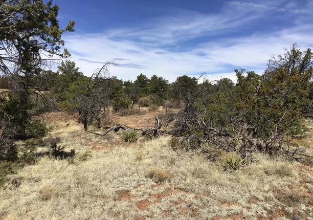 Photo 3 of Sale Pending at Lot 640-A Gabe Rd, Ramah, NM 87321 | MLS# 1056724 | Listing updated on 2026-08-03