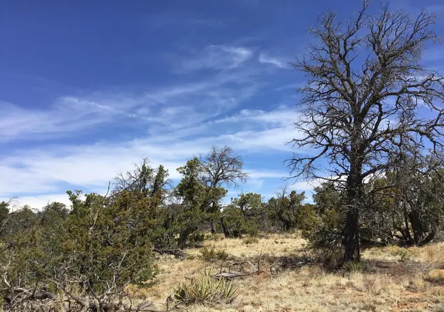 Photo 4 of Sale Pending at Lot 640-A Gabe Rd, Ramah, NM 87321 | MLS# 1056724 | Listing updated on 2026-08-03