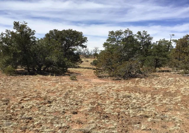 Photo 2 of Sale Pending at Lot 641-A Gabe Rd, Ramah, NM 87321 | MLS# 1056728 | Listing updated on 2026-08-03