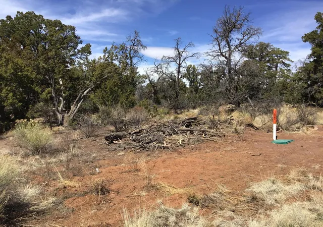 Photo 3 of Sale Pending at Lot 641-A Gabe Rd, Ramah, NM 87321 | MLS# 1056728 | Listing updated on 2026-08-03