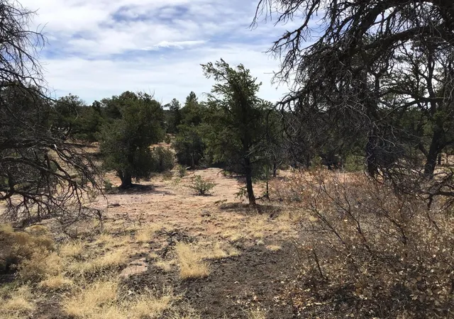 Photo 19 of Sale Pending at Lot 682 Che Loop, Ramah, NM 87321 | MLS# 1056756 | Listing updated on 2026-08-03