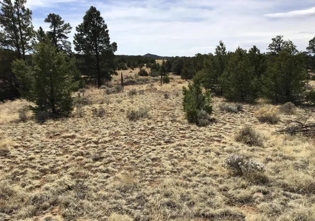 Photo 1 of Sale Pending at Lot 682 Che Loop, Ramah, NM 87321 | MLS# 1056756 | Listing updated on 2026-08-03