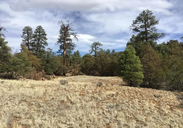 Photo 3 of Sale Pending at Lot 682 Che Loop, Ramah, NM 87321 | MLS# 1056756 | Listing updated on 2026-08-03