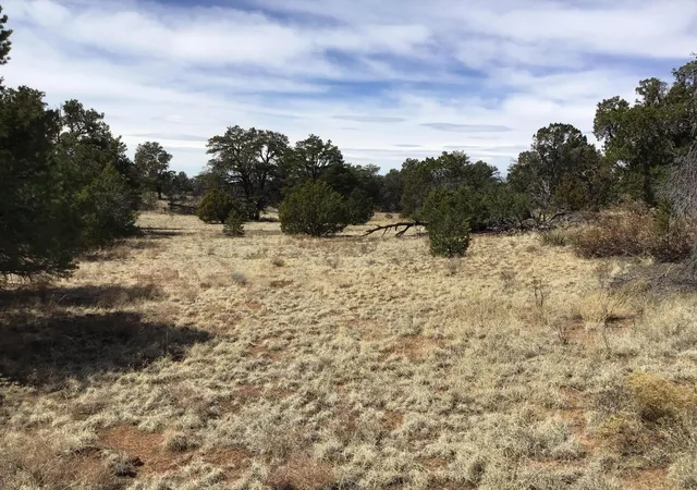 Photo 1 of Sale Pending at Lot 694 Fred Rd, Ramah, NM 87321 | MLS# 1056768 | Listing updated on 2026-08-03