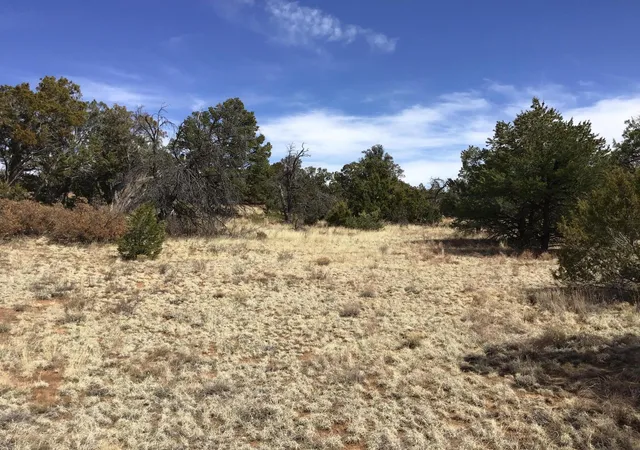 Photo 3 of Sale Pending at Lot 694 Fred Rd, Ramah, NM 87321 | MLS# 1056768 | Listing updated on 2026-08-03